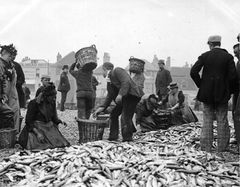 George Woods circa 1890